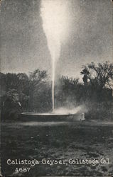 Calistoga Geyser California Postcard Postcard Postcard