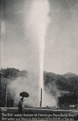 The Hot Water Geyser at Calistoga California Postcard Postcard Postcard