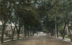 One of the beautiful residence streets Postcard