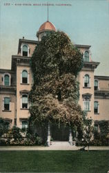 Rose Porch, Mills College Postcard