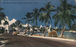 Palm Studded Indian Creek Miami Beach, FL Postcard Postcard Postcard