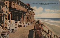 The Driftwood on the Ocean Front Postcard