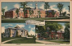 University of Maine Postcard