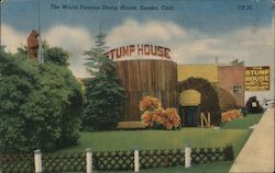 The World Famous Stump House Postcard