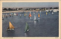 Coronado's colorful rainboat fleet sailboats Postcard