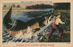 Greetings from Pacific Grove, Calif. Postcard