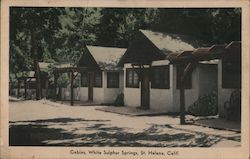 Cabins, White Sulphur Springs Postcard