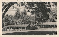 Sherwood Forest Resort Garberville, CA Postcard Postcard Postcard