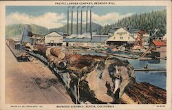 Pacific Lumber Company, Redwood Mill, logs on train, pool Postcard