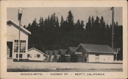 Sequoia Motel Postcard