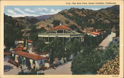 The Bird Park Santa Catalina Island, CA Postcard Postcard Postcard