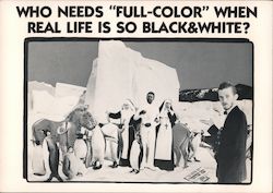 Who needs full-color when real life is so black & white? Modern Postcard Postcard Postcard