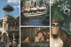 Walt Disney World Orlando, FL Postcard Postcard Postcard