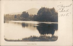 The Cove Postcard