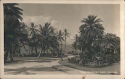 Royal Hawaiian Hotel Grounds Postcard