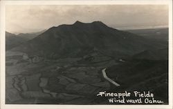 Pineapple Fields Windward, Oahu Postcard