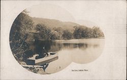 The Cove Postcard