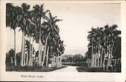 Main Road, Cuba Postcard Postcard Postcard