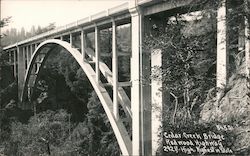 Cedar Creek Bridge, Highest in State, Redwood Highway Leggett, CA Postcard Postcard Postcard