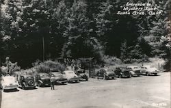 Entrance to "Mystery Spot" Santa Cruz, CA Postcard Postcard Postcard