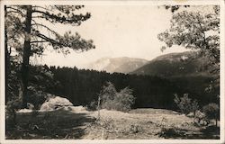 Camp Angelus View California Postcard Postcard Postcard