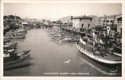 Fisherman's Wharf San Francisco, CA Postcard Postcard Postcard