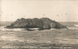 Bird Rock on 17 Mile Drive Birds Postcard Postcard Postcard