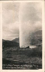 Old Faithful Geyser of California Calistoga, CA Postcard Postcard Postcard