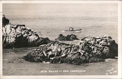 Seal Rocks San Francisco, CA Postcard Postcard Postcard