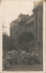 Palace of Fine Arts Postcard