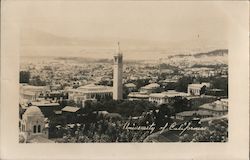 View of University of California Postcard