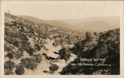 Walters Springs Saint Helena, CA Postcard Postcard Postcard