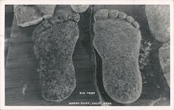 Big Foot - Happy Camp California Postcard Postcard Postcard