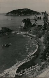 Beautiful California Redwood Highway Pacific Ocean Shore Postcard