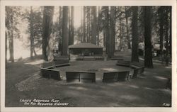 Lane's Redwood Flat, on the Redwood Highway Postcard