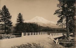 Mt. Shasta from Pacific Highway Mount Shasta, CA Postcard Postcard Postcard