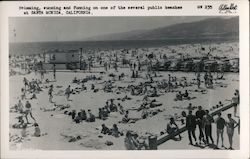 Crowded Public Beach Postcard