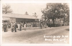 Knott's Berry Place Postcard