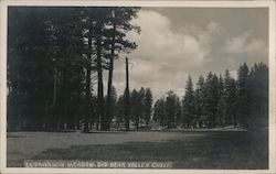 Fawnskin Meadow,Big Bear Valley Postcard