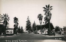 Street Scene - Palm Trees San Jose, CA Postcard Postcard Postcard