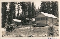 A Few of the Cottages at Plumas Pines Resort Postcard