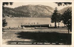 Lake Strawberry at Pine Crest Postcard