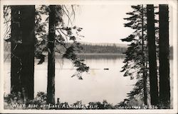 West Side of Lake Postcard