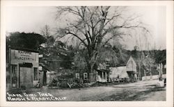 Slave Girl Tree, W.H. Fippin General Blacksmith Postcard