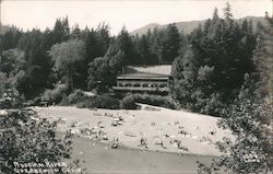 Russian River, Guernewood California Postcard Postcard Postcard