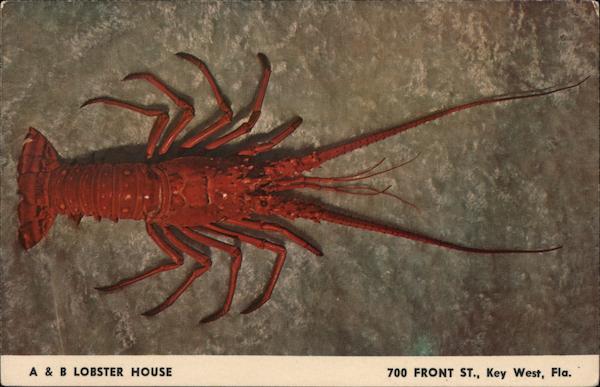 A & B Lobster House Key West, FL Postcard