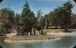 Bob Noble Park - Wild duck residence on island Paducah, KY Postcard Postcard Postcard