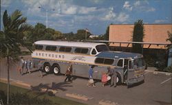 Greyhound Super Scenicruiser Postcard