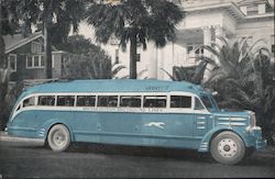 Greyhound Bus Postcard