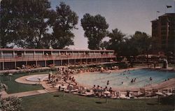 Edgewater Beach Hotel, pool Chicago, IL Postcard Postcard Postcard